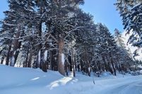 Property for sale in Alpine County, California