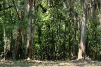 Undeveloped Land for sale in McIntosh County, Georgia