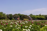 Property for sale in Cape May County, New Jersey