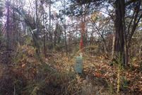 Property for sale in Stone County, Arkansas