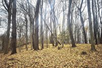 Undeveloped Land for sale in Geauga County, Ohio