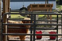 Property for sale in Beaufort County, South Carolina