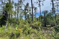 Undeveloped Land for sale in Dixie County, Florida