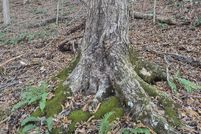 Property for sale in Hancock County, Tennessee