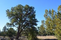 Undeveloped Land for sale in Coconino County, Arizona