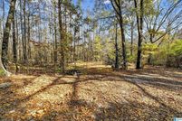 Property for sale in Calhoun County, Alabama