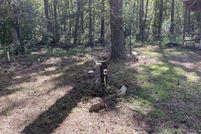 Undeveloped Land for sale in Walton County, Florida