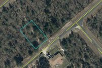 Undeveloped Land for sale in Washington County, Florida