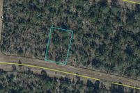 Undeveloped Land for sale in Washington County, Florida