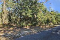 Undeveloped Land for sale in Washington County, Florida