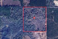Undeveloped Land for sale in Jackson County, Florida