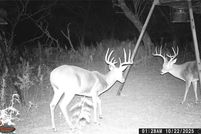 Lakefront Property for sale in Brown County, Texas