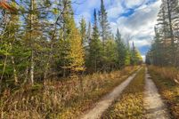 Undeveloped Land for sale in Cheboygan County, Michigan