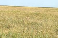 Undeveloped Land for sale in Lane County, Kansas