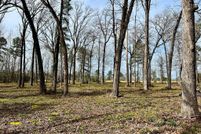 Undeveloped Land for sale in Angelina County, Texas