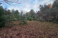 Undeveloped Land for sale in Iosco County, Michigan