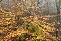 Undeveloped Land for sale in Floyd County, Kentucky