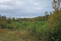 Undeveloped Land for sale in McCormick County, South Carolina