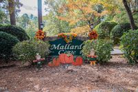 Undeveloped Land for sale in Lee County, North Carolina