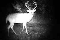 Farm Property for sale in Franklin County, Kansas