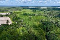 Farm Property for sale in Wayne County, Georgia