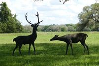 Property for sale in Fayette County, Texas