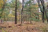 Undeveloped Land for sale in Anoka County, Minnesota