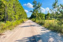 Undeveloped Land for sale in Flagler County, Florida