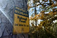 Property for sale in Perry County, Mississippi