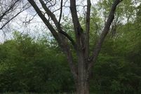 Property for sale in Jefferson County, Alabama