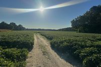 Property for sale in Wilson County, North Carolina