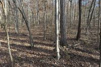 Undeveloped Land for sale in Cocke County, Tennessee