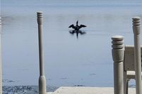 Property for sale in Stearns County, Minnesota