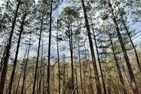 Undeveloped Land for sale in McCurtain County, Oklahoma