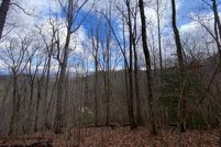 Undeveloped Land for sale in Towns County, Georgia