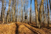 Property for sale in Cass County, Minnesota