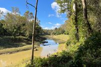 Undeveloped Land for sale in Wilkinson County, Mississippi