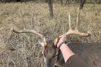 Undeveloped Land for sale in Jones County, Texas