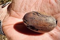 Property for sale in Lamar County, Texas