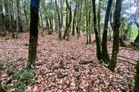 Undeveloped Land for sale in Mendocino County, California