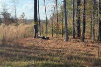 Undeveloped Land for sale in Nottoway County, Virginia