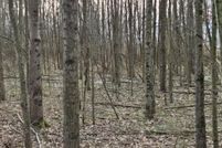 Undeveloped Land for sale in Clinton County, Ohio