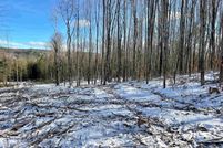 Undeveloped Land for sale in Orleans County, Vermont