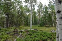 Property for sale in Park County, Colorado