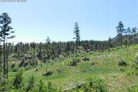 Undeveloped Land for sale in Douglas County, Colorado