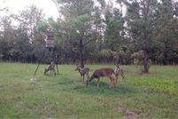 Property for sale in Madison County, Florida