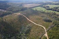 Property for sale in Greene County, Mississippi