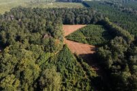 Lakefront Property for sale in Amite County, Mississippi