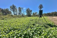 Property for sale in Copiah County, Mississippi