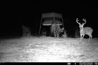 Property for sale in Catahoula Parish, Louisiana